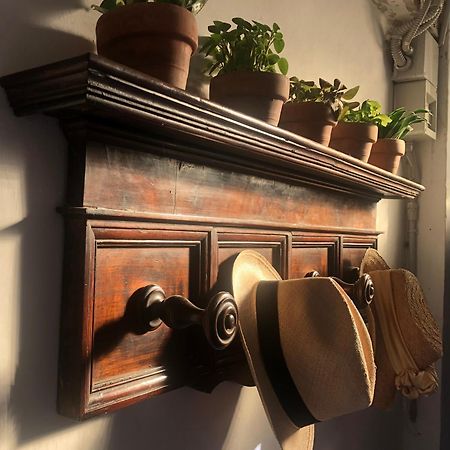 Locanda SottolaLuna Viano Bagian luar foto