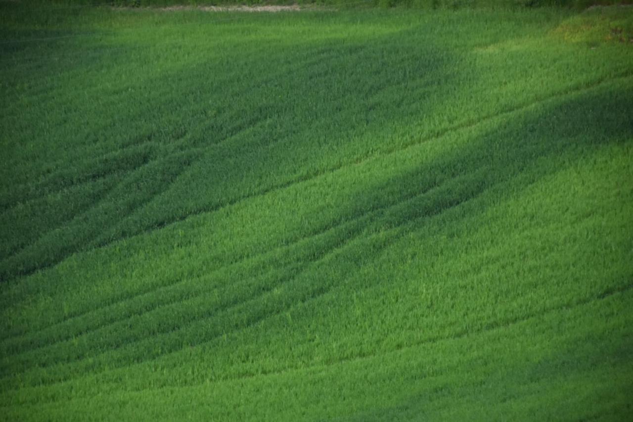 Locanda SottolaLuna Viano Bagian luar foto